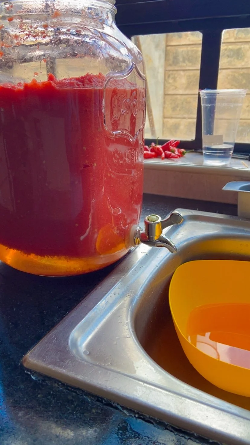 how to preserve tomatoes by canning